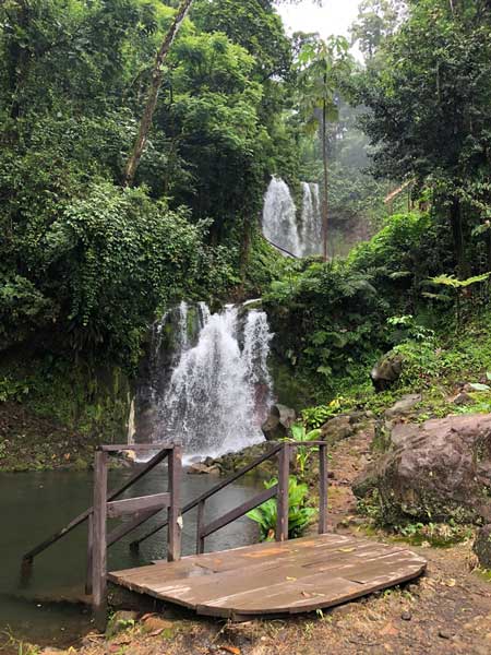 nature comme héritage : l’exemple du Costa Rica, blog culture, faune et flore, voyage, tourisme, Pura Vida
